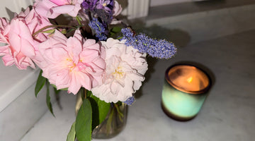 Backyard flowers