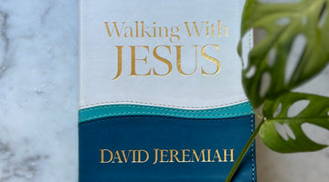 Reassurance in the next steps
